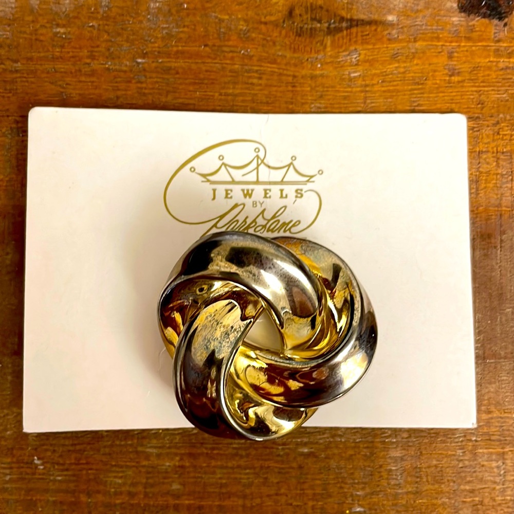 NWOT Vintage Park Lane Dress Clip